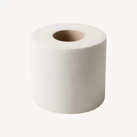 Standard Toilet Paper Roll